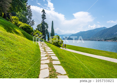 Greenery of botanical gardens at Villa Melzi in Bellagio. Como Lake, Italy Greenery of botanical gardens at Villa Melzi in Bellagio. Como Lake, Italy 105733821