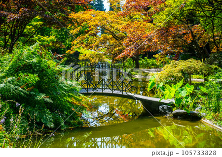 Japanese garden with small bridge at Villa Melzi in Bellagio. Como Lake, Italy 105733828