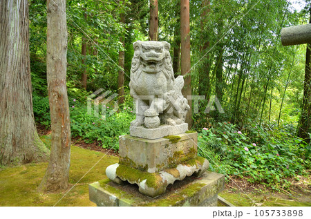 新潟県上越市春日のパワースポット　春日神社 105733898