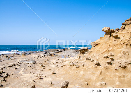 石見畳ヶ浦　波食棚のノジュール（団塊）のポコポコと日本海の面白い風景　島根県浜田市 105734261
