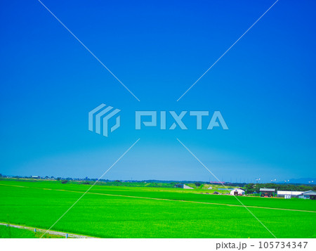 新潟県村上市 夏の田園風景 新潟県村上市 夏の田園風景 105734347