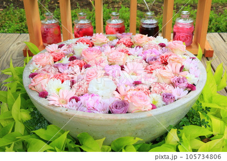 あしかがフラワーパークの花手水 あしかがフラワーパークの花手水 105734806