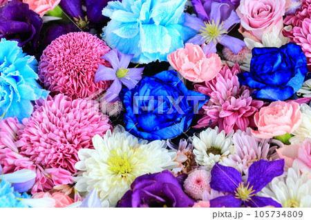 あしかがフラワーパークの花手水 あしかがフラワーパークの花手水 105734809