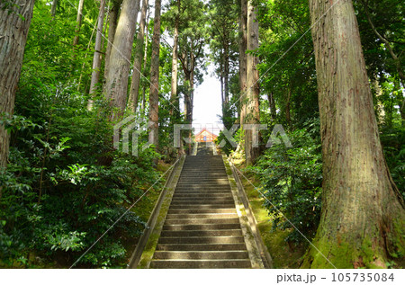 新潟県上越市春日のパワースポット　春日神社 105735084