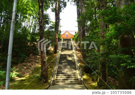 新潟県上越市春日のパワースポット　春日神社 105735086