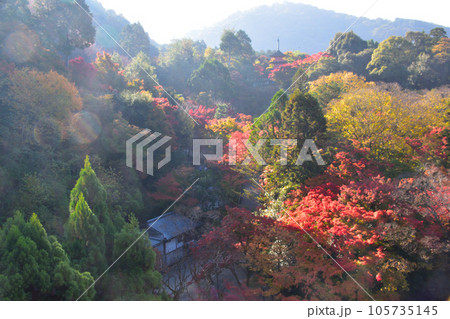秋 清水寺 境内 秋 清水寺 境内 105735145