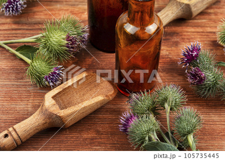 Prickly heads of burdock flowers 105735445