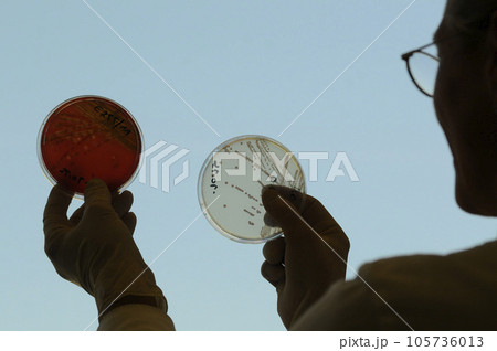 Research on Cell Culture by a Scientist Research on Cell Culture by a Scientist 105736013