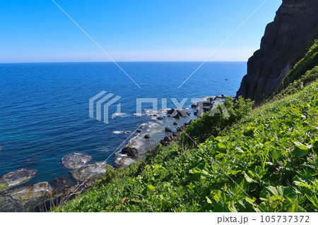 積丹半島・積丹岬自然遊歩道 105737372