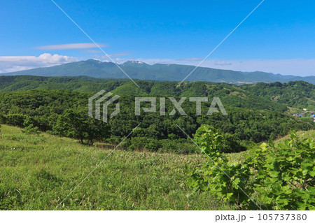 積丹半島・積丹岬自然遊歩道 105737380