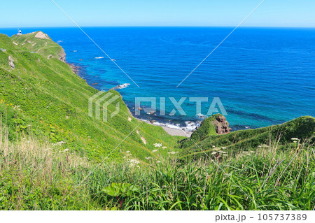 神威岬・神威岬遊歩道 105737389