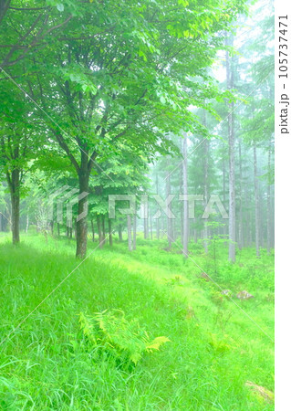静かな風景 105737471