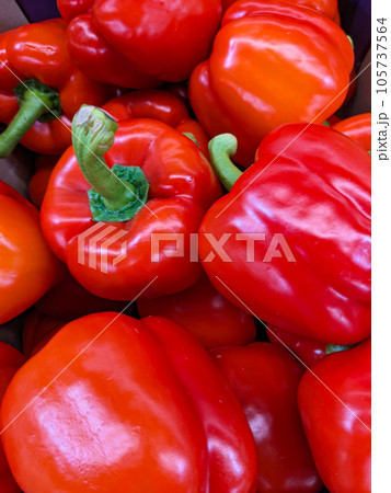 Lots of sweet bell red pepper. Lots of sweet bell red pepper. 105737564