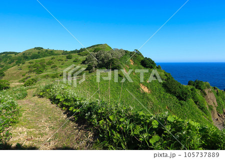 積丹半島・積丹岬自然遊歩道 105737889