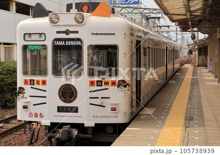 たま電車こと和歌山電鐵貴志川線の車体 105738939