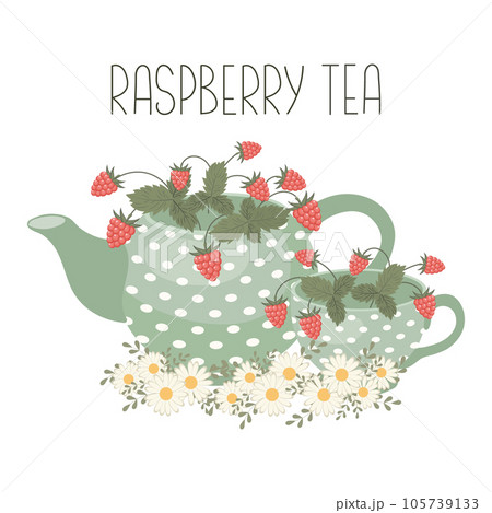 Raspberry tea, healthy drink. Teapot and cup with raspberry tea and chamomile flowers. Illustration, vector Raspberry tea, healthy drink. Teapot and cup with raspberry tea and chamomile flowers. Illustration, vector 105739133