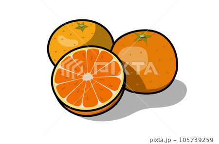 ポップなみかんのイラスト素材 105739259
