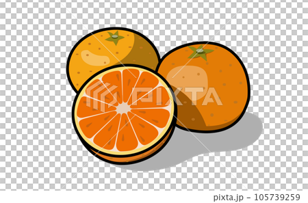 ポップなみかんのイラスト素材 105739259