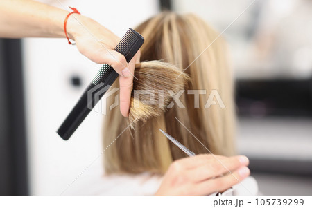 Hairdresser holds scissors and comb in his hand and cuts the ends of hair Hairdresser holds scissors and comb in his hand and cuts the ends of hair 105739299