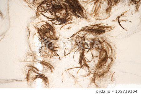 Brown hair lies on white floor closeup Brown hair lies on white floor closeup 105739304