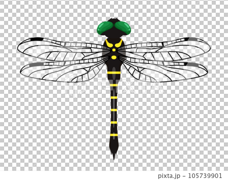 Onyanma's illustration _ wings transparent 105739901