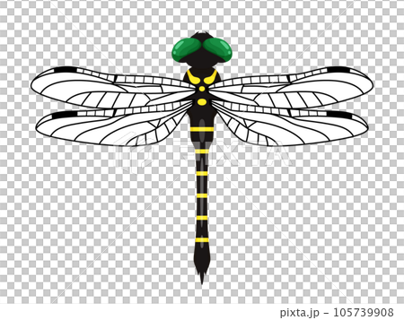 Onyanma's illustration_Hajiro 105739908