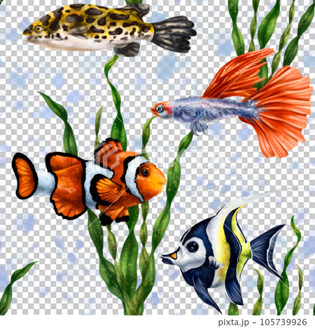 Colorful sea fish in the ocean. Tropical waterfowl among green algae . Underwater life, diving and snorkeling, traveling to exotic places. Seamless pattern, digital illustration 105739926