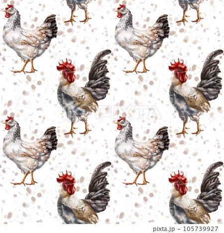 Seamless pattern of their farm chickens and roosters. Simple rural life, farm animals, nature and plants. Poultry on the ranch. Digital illustration, background 105739927