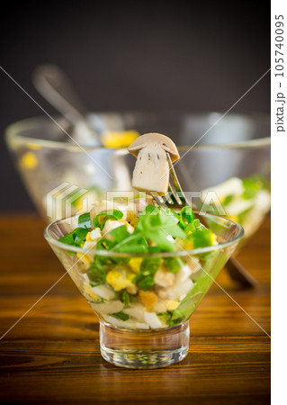 fresh spring diet salad of mushrooms, eggs, green onions fresh spring diet salad of mushrooms, eggs, green onions 105740095