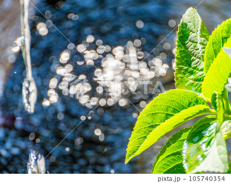 夏の清涼な景色　水鉢に波紋を作る清涼な水滴　背景素材 105740354