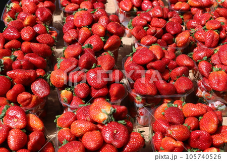 Vegetables and fruits are sold at the city bazaar in Israel. 105740526