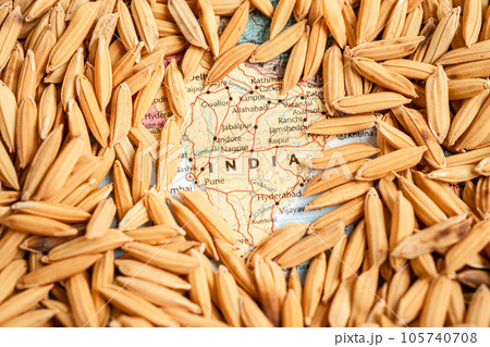 Bangkok, Thailand May 14, 2023 Brown rice paddy seeds on India map, India rice export ban trigger a global food crisis concept. Bangkok, Thailand May 14, 2023 Brown rice paddy seeds on India map, India rice export ban trigger a global food crisis concept. 105740708