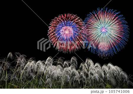 花火とススキ。秋の花火大会のイメージ。 105741006