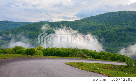 foggy sunrise illuminates the road among trees, providing a picturesque view of the tranquil countryside. the scenic route offers a sunny view of the rolling landscape 105742286