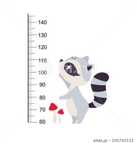 Growth Ruler with Cute Raccoon Animal at Kids Height Meter Vector Illustration Growth Ruler with Cute Raccoon Animal at Kids Height Meter Vector Illustration 105742532