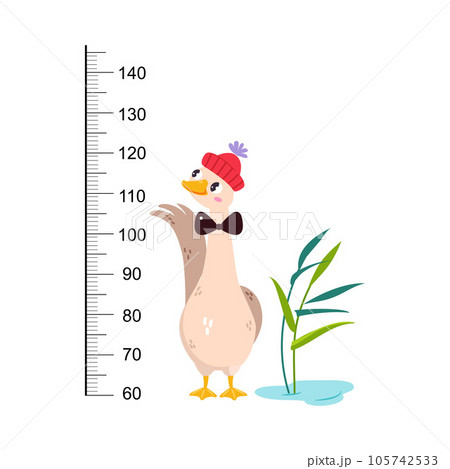 Growth Ruler with Cute Goose Animal at Kids Height Meter Vector Illustration Growth Ruler with Cute Goose Animal at Kids Height Meter Vector Illustration 105742533