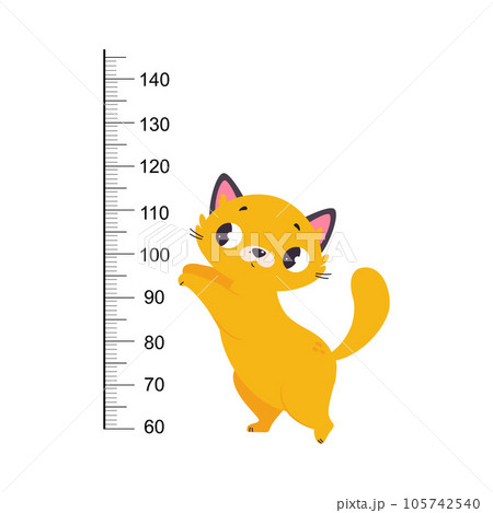 Growth Ruler with Cute Cat Animal at Kids Height Meter Vector Illustration Growth Ruler with Cute Cat Animal at Kids Height Meter Vector Illustration 105742540