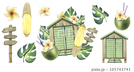 Wooden beach cabin with surfboard, tropical monstera leaves, frangipani flowers, road sign and cocktail in coconut. Watercolor illustration, hand drawn. Set of isolated elements on a white background 105743741