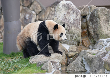 お散歩中の海浜 105744563