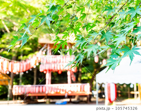 夏の風物詩　青モミジと飾りつけの終った盆踊りの櫓 105745326