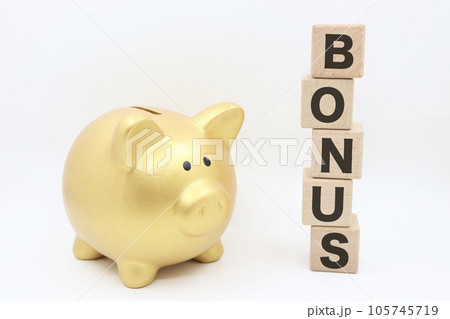 豚の貯金箱とボーナスの文字 豚の貯金箱とボーナスの文字 105745719