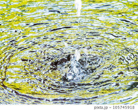 背景素材　夏の清涼な景色　水鉢に波紋を作る清涼な水滴 105745918