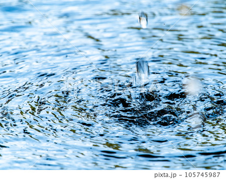 背景素材　夏の清涼な景色　水鉢に波紋を作る清涼な水滴 105745987