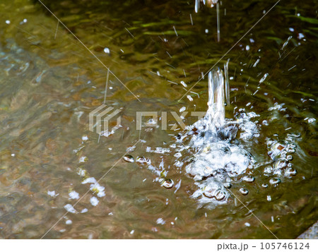 背景素材　夏の清涼な景色　水鉢に波紋を作る清涼な水滴 105746124