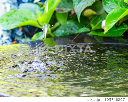 背景素材　夏の清涼な景色　水鉢に波紋を作る清涼な水滴 105746207