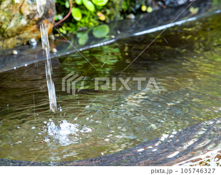背景素材 夏の清涼な景色 水鉢に波紋を作る清涼な水滴 背景素材 夏の清涼な景色 水鉢に波紋を作る清涼な水滴 105746327