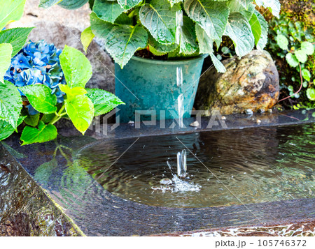 背景素材　夏の清涼な景色　水鉢に波紋を作る清涼な水滴 105746372