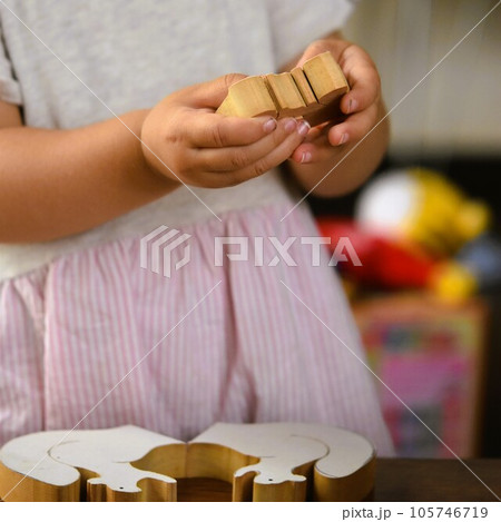 木工ジグソーパズルで遊ぶ女児 105746719