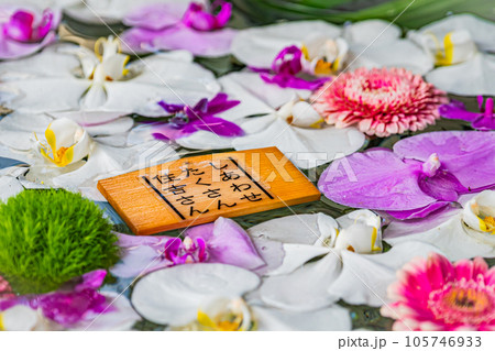 小樽　住吉神社の花手水 105746933
