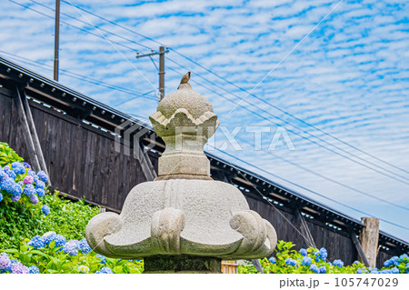 小樽　小樽貴賓館旧青山別邸の風景 105747029